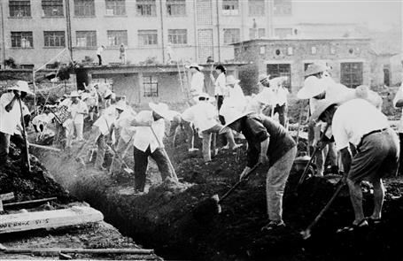 【媒體關(guān)注】從東北到廣西“開(kāi)荒” 一家十幾個(gè)“冶建人”