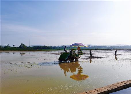 千畝“瘦地”變“肥田”丨石碑坪“旱改水”項(xiàng)目出成效，助力鄉(xiāng)村振興