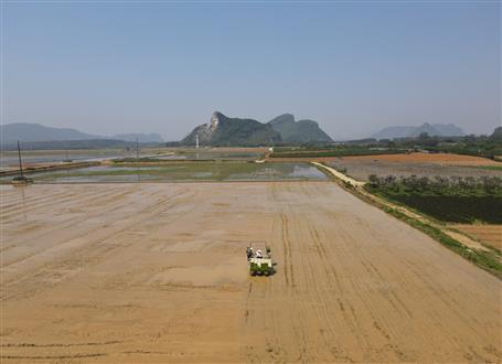 144公頃高標準農(nóng)田通過驗收